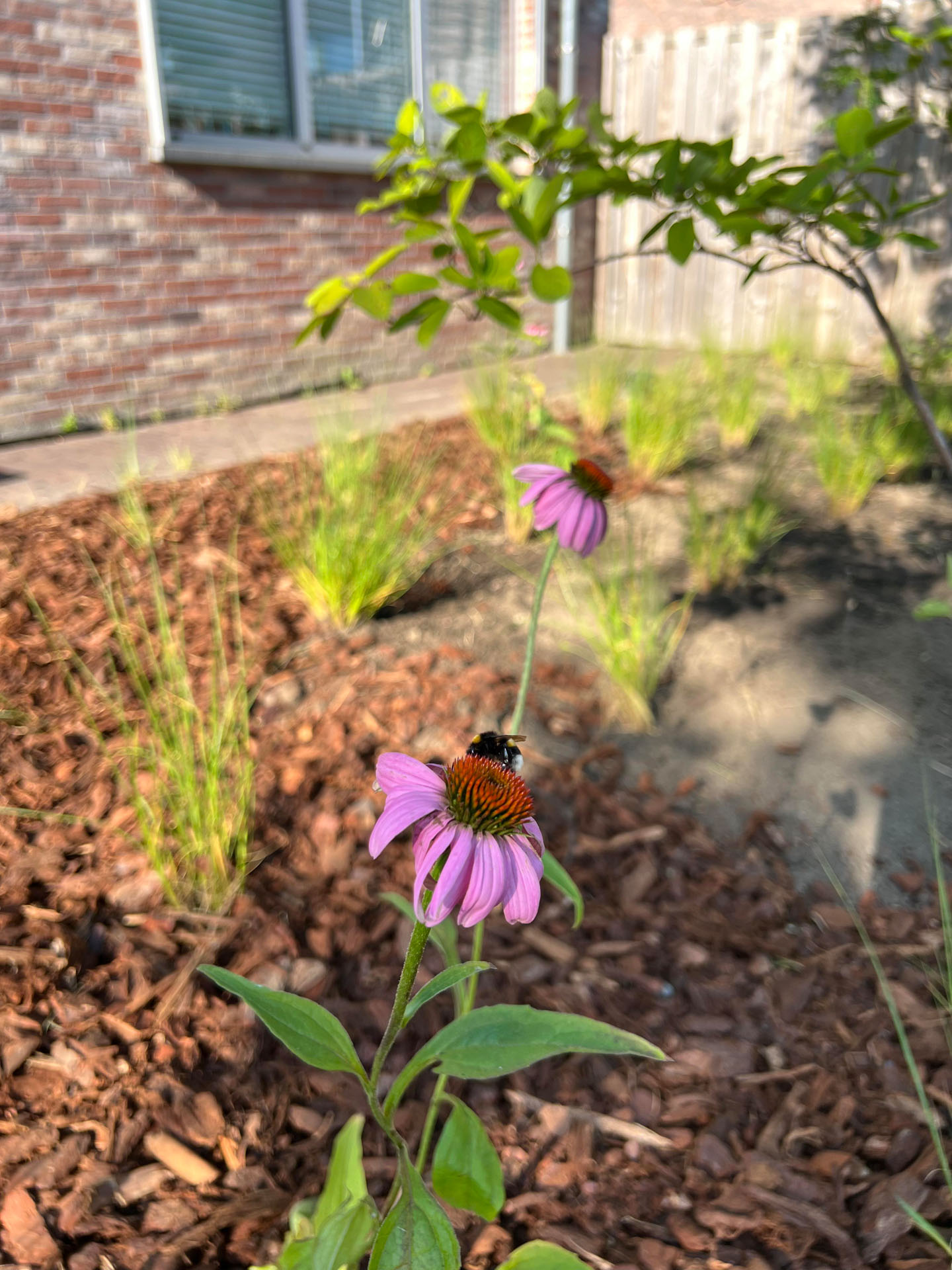 Project Image /images/projecten/16 Project A - Londerzeel/06.jpg